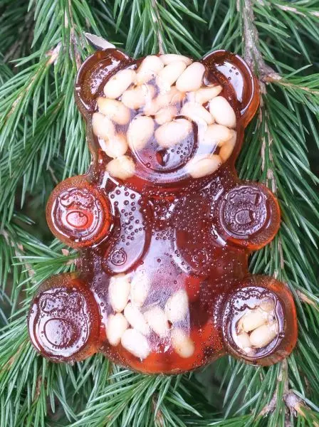 Мармелад сосновый МИШКА на пектине с кедровыми орешками Мармелад сосновый МИШКА на пектине с кедровыми орешками